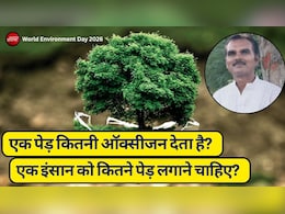 जिंदगी भर की सांस का कर्ज: एक इंसान को कितने पेड़ लगाने चाहिए? जवाब चौंका देगा