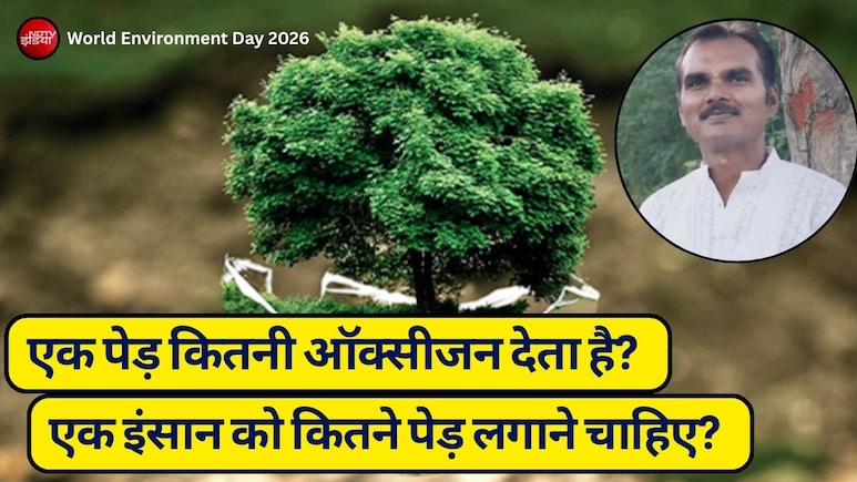 जिंदगी भर की सांस का कर्ज: एक इंसान को कितने पेड़ लगाने चाहिए? जवाब चौंका देगा