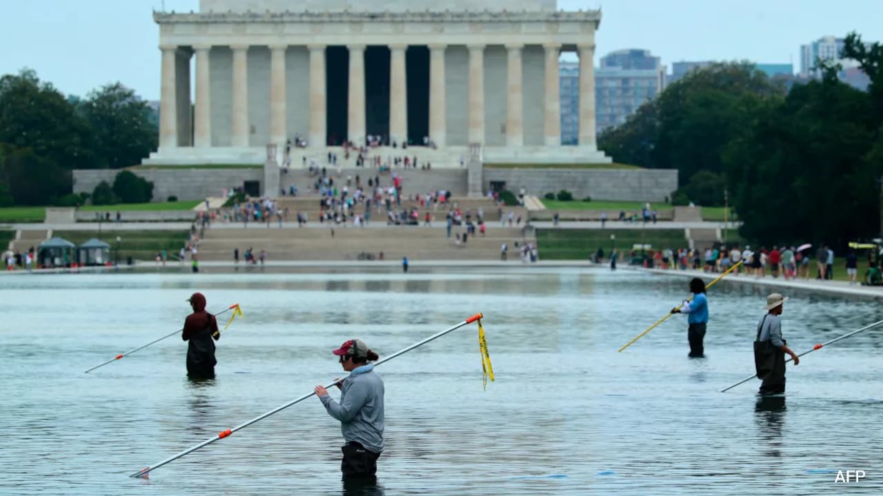 After Algae, Peeling Paint Adds To Donald Trump's Pool Project Problems