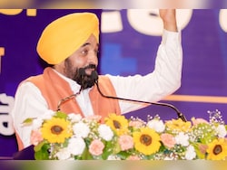 'It's Not Bhagwant Mann': Report On Video Behind Akal Takht Action