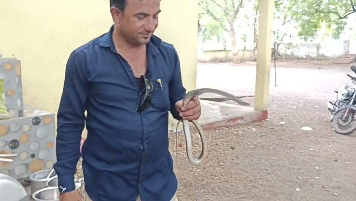 Snake Rescue: सांप का रेस्क्यू करते हुए सर्प एक्सपर्ट