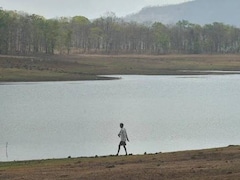 Mumbai Lake Levels Drop Amid Delayed Rain, Ex-IMD Scientist Warns 'Tough Times Ahead'