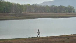 Mumbai Lake Levels Drop Amid Delayed Rain, Ex-IMD Scientist Warns 'Tough Times Ahead'