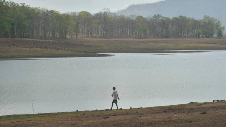 Mumbai Lake Levels Drop Amid Delayed Rain, Ex-IMD Scientist Warns 'Tough Times Ahead'