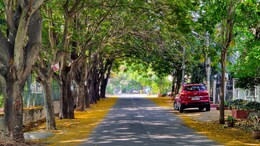 Walmart Techie Shares Breakdown Of His Rs 74,000 Monthly Expenses In Bengaluru: 'Spend Zero On Commute'