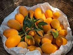 After Japan, Nepal Bans Import Of Indian Mangoes Over This Issue