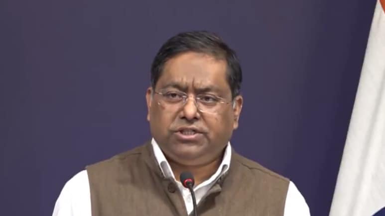 जब कोई लेना-देना न हो तो नहीं बोलना चाहिए... J&K पर पाकिस्तान-EU के बयान पर भारत ने खूब सुनाया