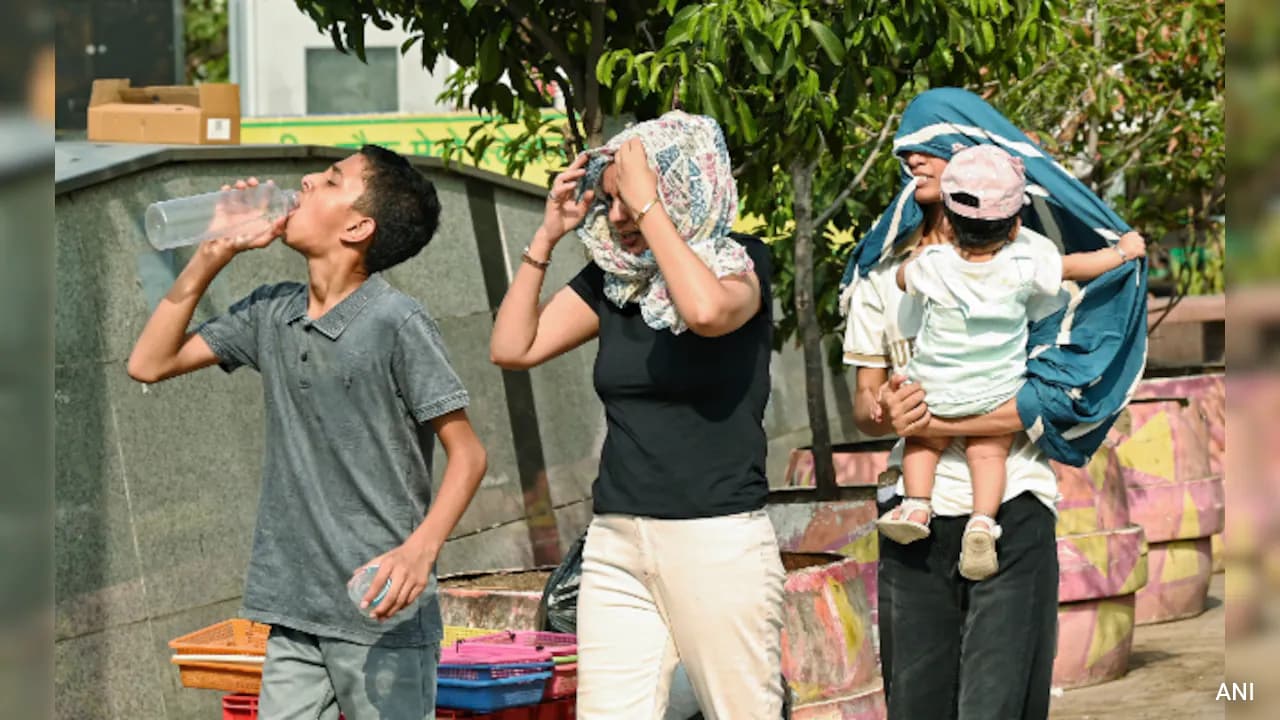 Not 51 Degrees Celsius, But Feels That Hot: What's Behind Delhi's Heat