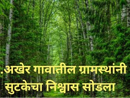 Bhandara News:  शेकडो वन कर्मचाऱ्यांना 'T-27' ने' अनेकदा दिला गुंगारा, दोघांना ठार केलं, शेवटी उसाच्या शेतात..