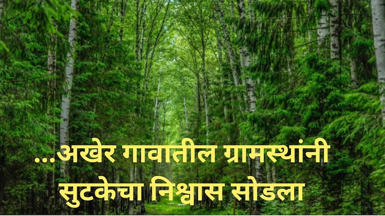Bhandara News:  शेकडो वन कर्मचाऱ्यांना 'T-27' ने' अनेकदा दिला गुंगारा, दोघांना ठार केलं, शेवटी उसाच्या शेतात..