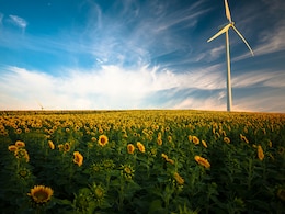 World Environment Day 2026: 25 Messages, Slogans And Quotes To Celebrate Our Planet