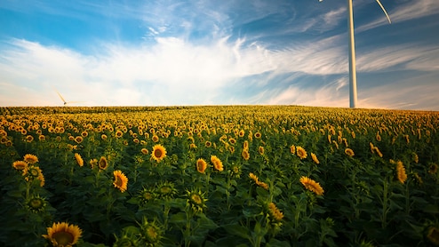 World Environment Day 2026: 25 Messages, Slogans And Quotes To Celebrate Our Planet