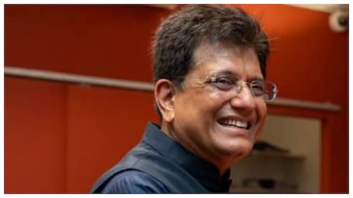 Rupee Begins To Recover As Global Situation Improves, Says Union Minister Piyush Goyal