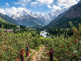 Harsil Valley's Apple Orchards Are Just One Reason To Visit This Quiet Retreat