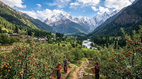 Harsil Valley's Apple Orchards Are Just One Reason To Visit This Quiet Retreat