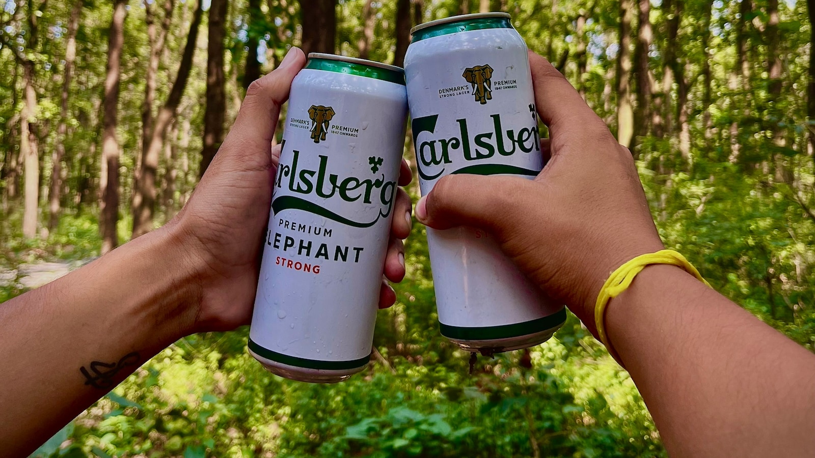 Carlsberg Prepares Massive IPO As Zepto Eyes Roadshows Amid Market IPO Frenzy