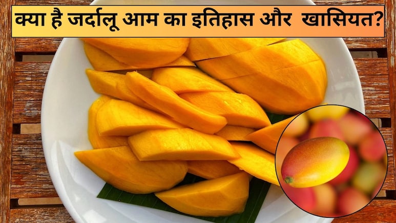 हर साल राष्ट्रपति को तोहफे में परोसा जाता है ये खास आम, 200 साल पुराना इतिहास और अनोखी खुशबू बनाती है खास