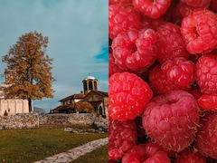 This Serbian Town Exports Handpicked, Chemical-Free Raspberries Worldwide