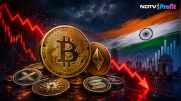 Crypto Market Has Lost Equivalent Of Half Of India's GDP In Eight Months &mdash; Here's Why