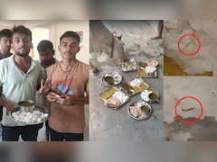 सतना OBC छात्रावास में कीड़े वाला भोजन, छात्रों का विरोध, थाली मवेशियों को दी; जांच के आदेश