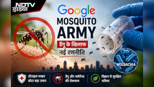 क्या &lsquo;गूगल मच्छर गैंग&rsquo; डेंगू फैलाने वाले मच्छरों को कम कर पाएगी? जानिए इस तकनीक और इसकी चुनौतियों को