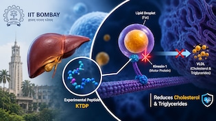 IIT Bombay-Led Team Develops Peptide That Cuts Cholesterol, Triglyceride Release By Nearly 50%