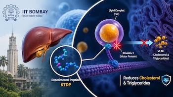 IIT Bombay-Led Team Develops Peptide That Cuts Cholesterol, Triglyceride Release By Nearly 50%