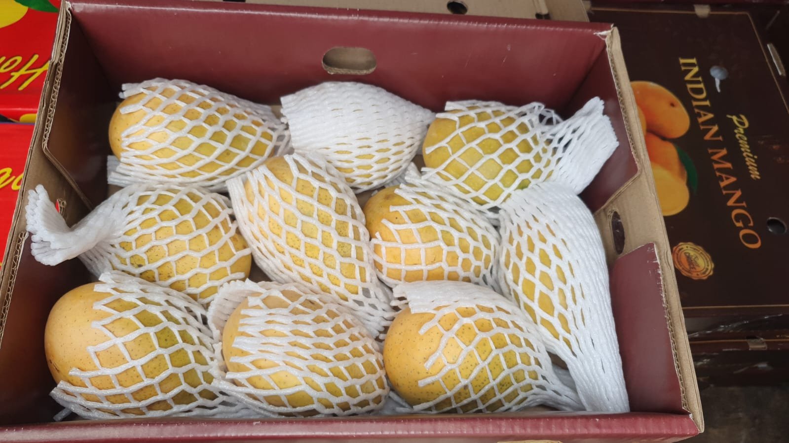 Singapore Praises Indian Banganapalle Mangoes Exported Via First Sea Shipment