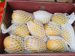 'Excellent Condition, Shelf Life': Singapore Praises Indian Banganapalle Mangoes Exported Via First Sea Shipment
