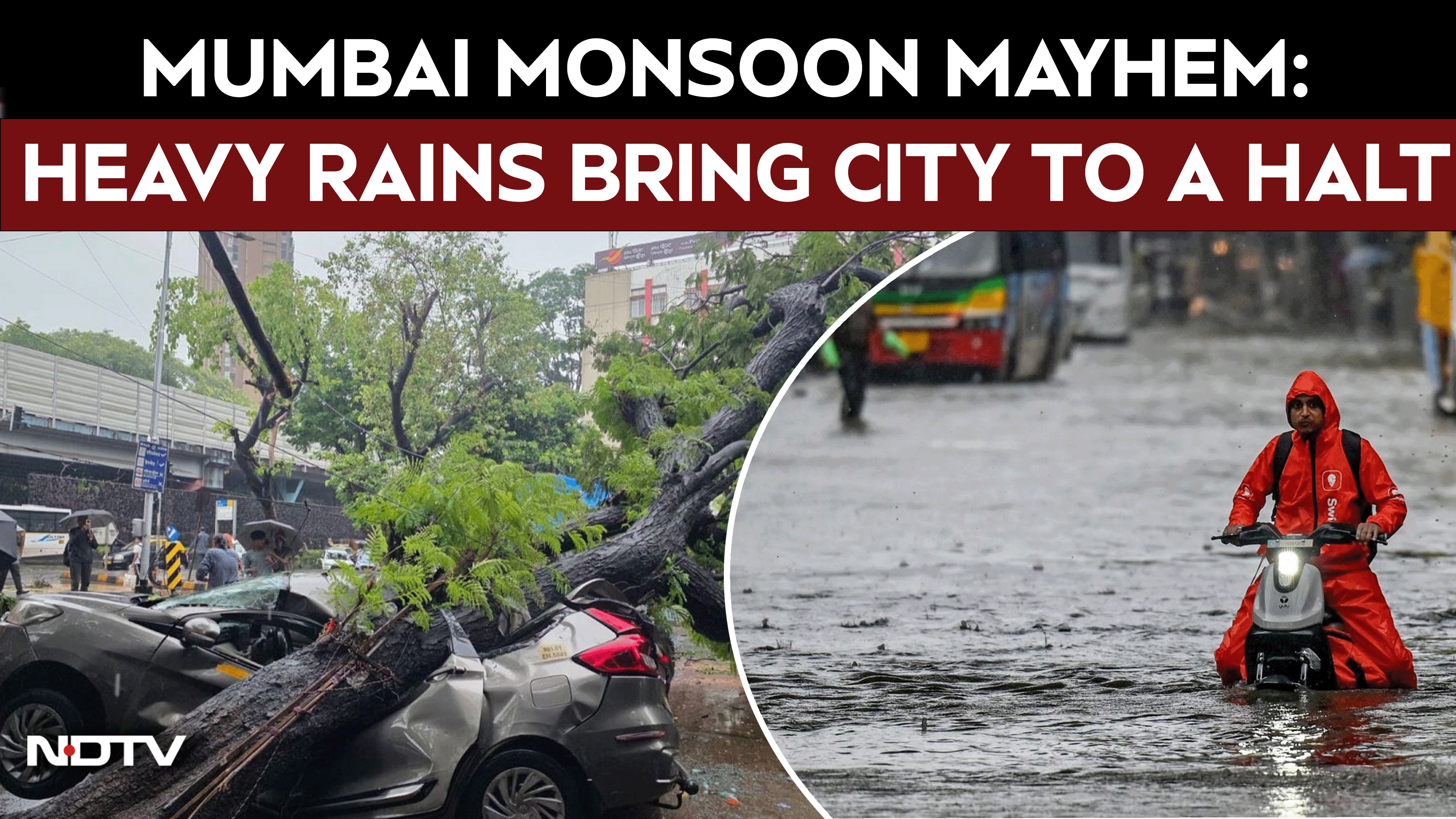 Mumbai Monsoon | Wall Collapses, Trees Uprooted, Car Crushed: Mumbai Monsoon Rain Mayhem