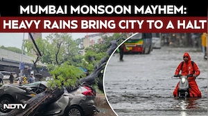 Mumbai Monsoon | Wall Collapses, Trees Uprooted, Car Crushed: Mumbai Monsoon Rain Mayhem