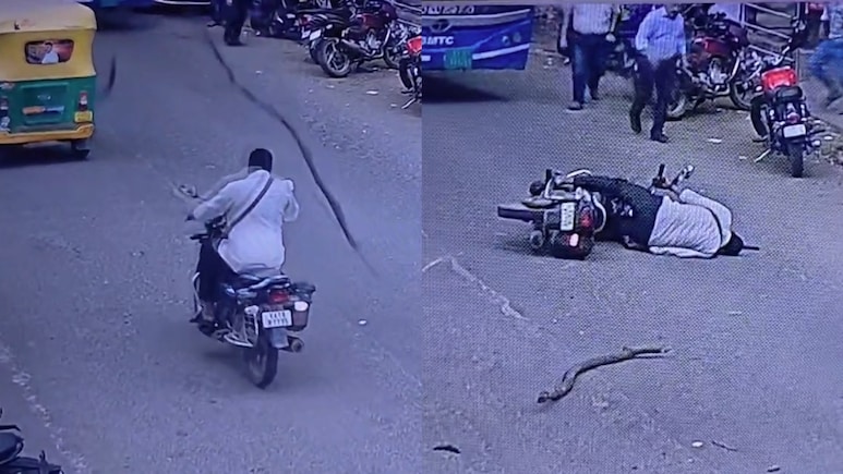 Video: Tree Branch Falls On Bengaluru Biker's Head While Riding Helmetless