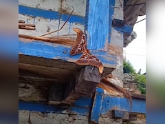 99% लोग नहीं पहचान पाएंगे इस जीव को, सबने कहा सांप, लेकिन चौंका देगा जवाब
