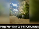 What Forced Nearly 100 Schools To Shut In Japan? A Bear What Forced Nearly 100 Schools To Shut In Japan? A Bear