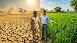 Kharif Crop Planning: अल निनोच्या संकटात शेती वाचवणार 'हा' फॉर्म्युला; यंदाच्या खरिपात 'या' पिकांची करा निवड