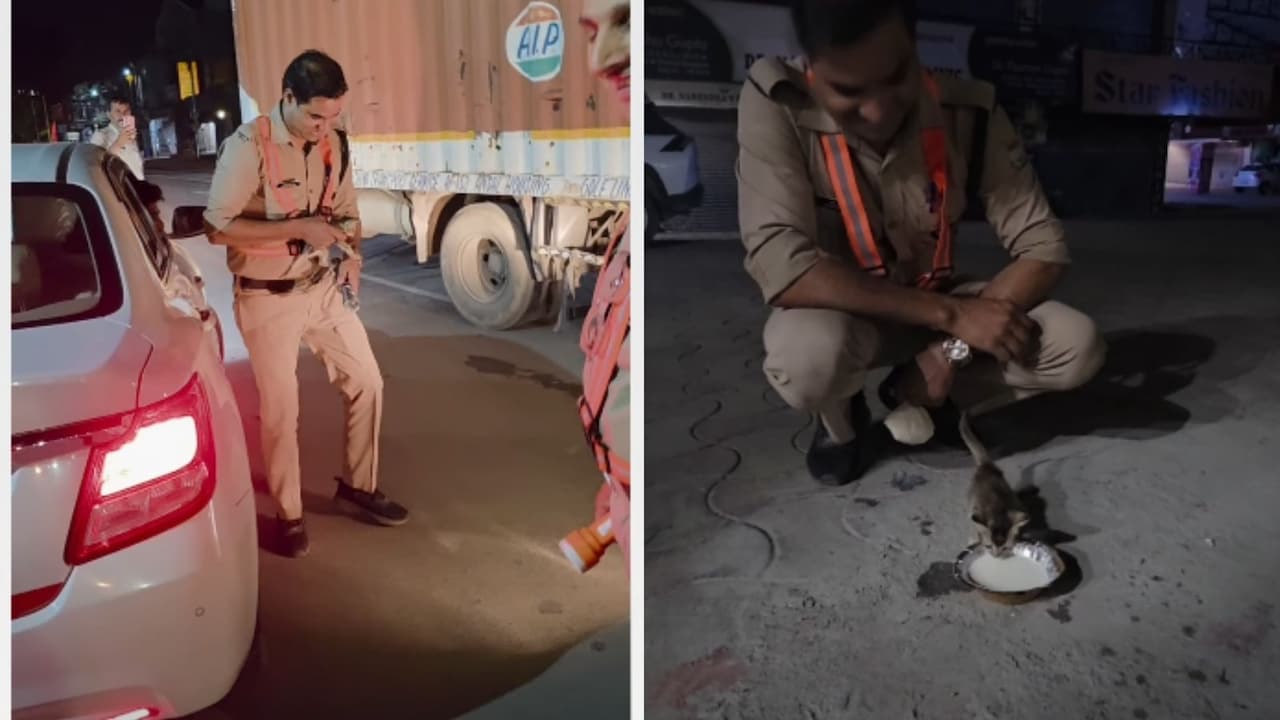 गाड़ी के नीचे आने वाला था बिल्ली का बच्चा, पुलिसवाले ने ऐसे बचाई जान, दिल छू लेने वाला वीडियो वायरल