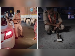 गाड़ी के नीचे आने वाला था बिल्ली का बच्चा, पुलिसवाले ने ऐसे बचाई जान, दिल छू लेने वाला वीडियो वायरल