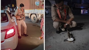 गाड़ी के नीचे आने वाला था बिल्ली का बच्चा, पुलिसवाले ने ऐसे बचाई जान, दिल छू लेने वाला वीडियो वायरल
