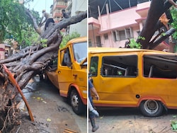 Student Dies, 10 Injured After Tree Falls On School Bus In Mumbai's Chembur