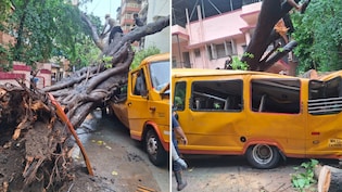 Student Dies, 10 Injured After Tree Falls On School Bus In Mumbai's Chembur