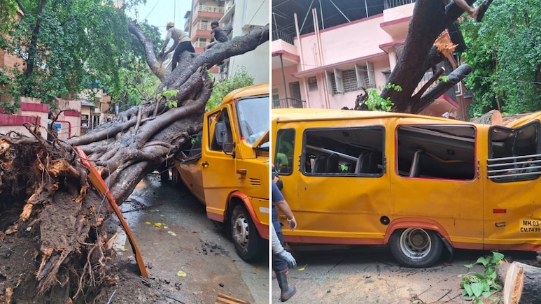 Student Dies, 10 Injured After Tree Falls On School Bus In Mumbai's Chembur