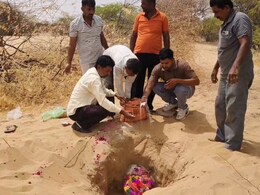 जहां बंदरिया ने तोड़ा दम, उसी जगह पर सड़क दुर्घटना में बंदर की भी मौत, ग्रामीणों ने दोनों की साथ बना दी समाधि