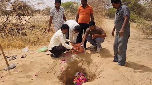 जहां बंदरिया ने तोड़ा दम, उसी जगह पर सड़क दुर्घटना में बंदर की भी मौत, ग्रामीणों ने दोनों की साथ बना दी समाधि