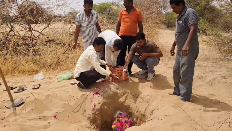जहां बंदरिया ने तोड़ा दम, उसी जगह पर सड़क दुर्घटना में बंदर की भी मौत, ग्रामीणों ने दोनों की साथ बना दी समाधि