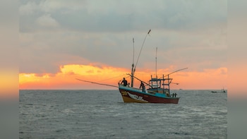India Eyes Better Market Access Through Simpler SPS Rules Under Proposed Trade Pact With EAEU