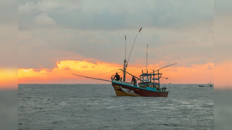 India Eyes Better Market Access Through Simpler SPS Rules Under Proposed Trade Pact With EAEU