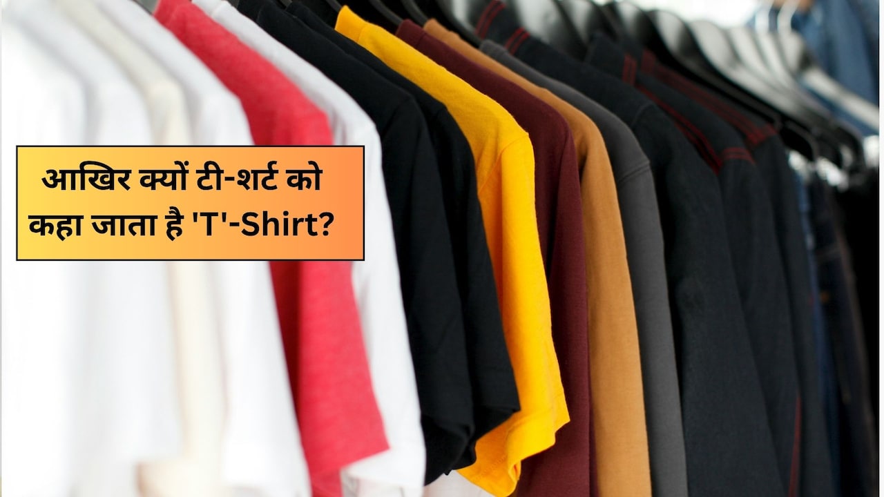 रोज पहनते हैं T-Shirt, पर T का मतलब नहीं जानते 99% लोग, जानें इसकी कहानी और रोचक फैक्ट्स