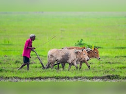 किसान सारथी प्लेटफॉर्म से जुड़े करीब 3 करोड़ किसान, घर बैठे मिल रही खेती और सरकारी योजनाओं की जानकारी, जानें आप कैसे जुड़ें