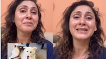 Actor On Society Dog's 'Brutal Murder': 'They Hit Him Until He Was Bleeding'