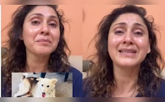 Actor On Society Dog's 'Brutal Murder': "They Hit Him Until He Was Bleeding"